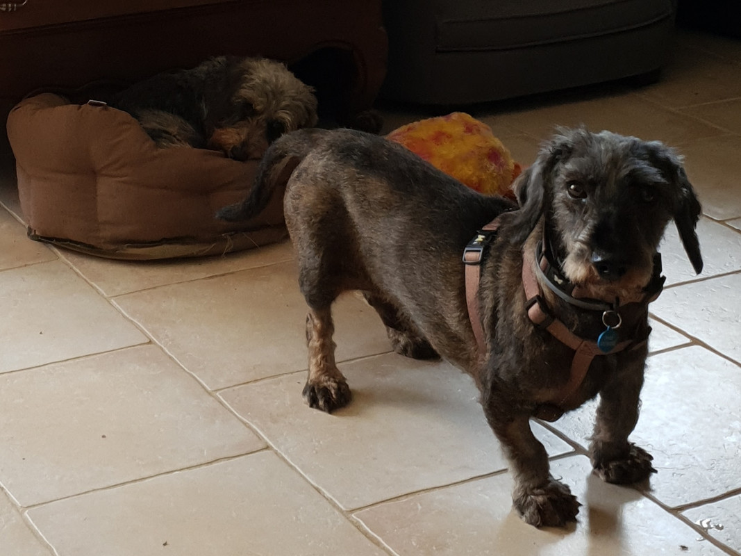 [Image: 20210715-170608.jpg]