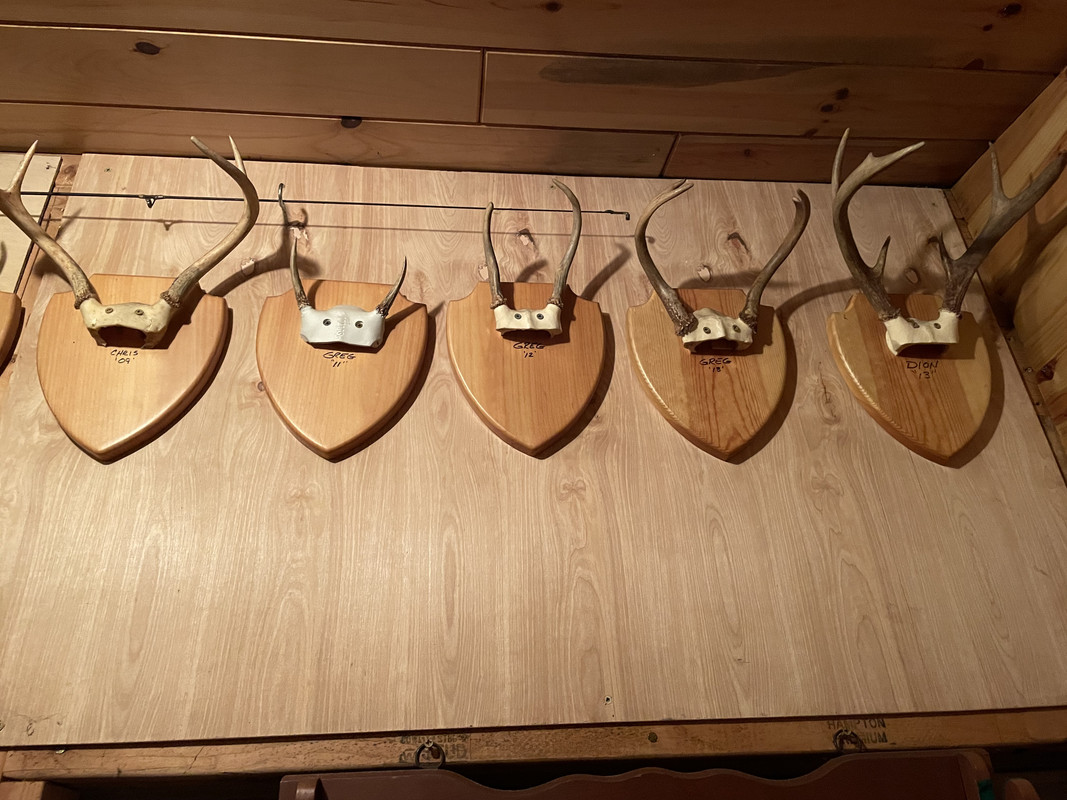 78E20084-8844-405B-8AE9-70C5EB097B93