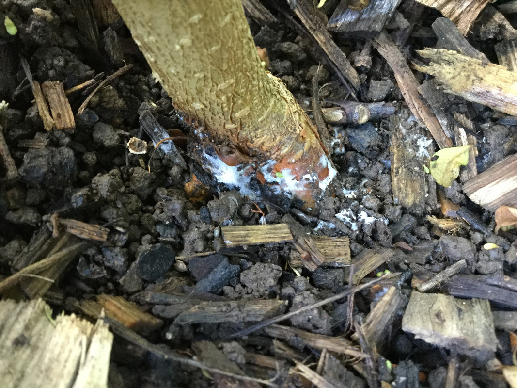 8E8C6C43-2E55-44CE-B5E8-3BA16B518691