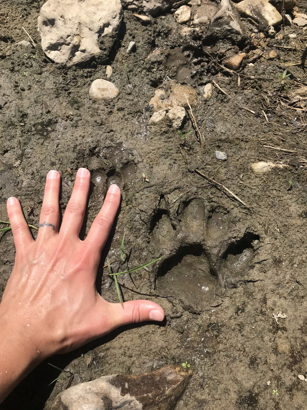 6DF3FF84-AC01-4C10-A4B4-B5AF919DF7BB