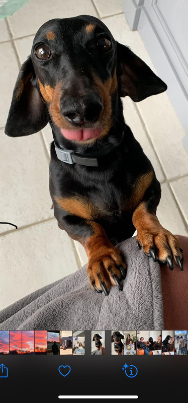 [Image: IMG-20240802-WA0006.jpg]