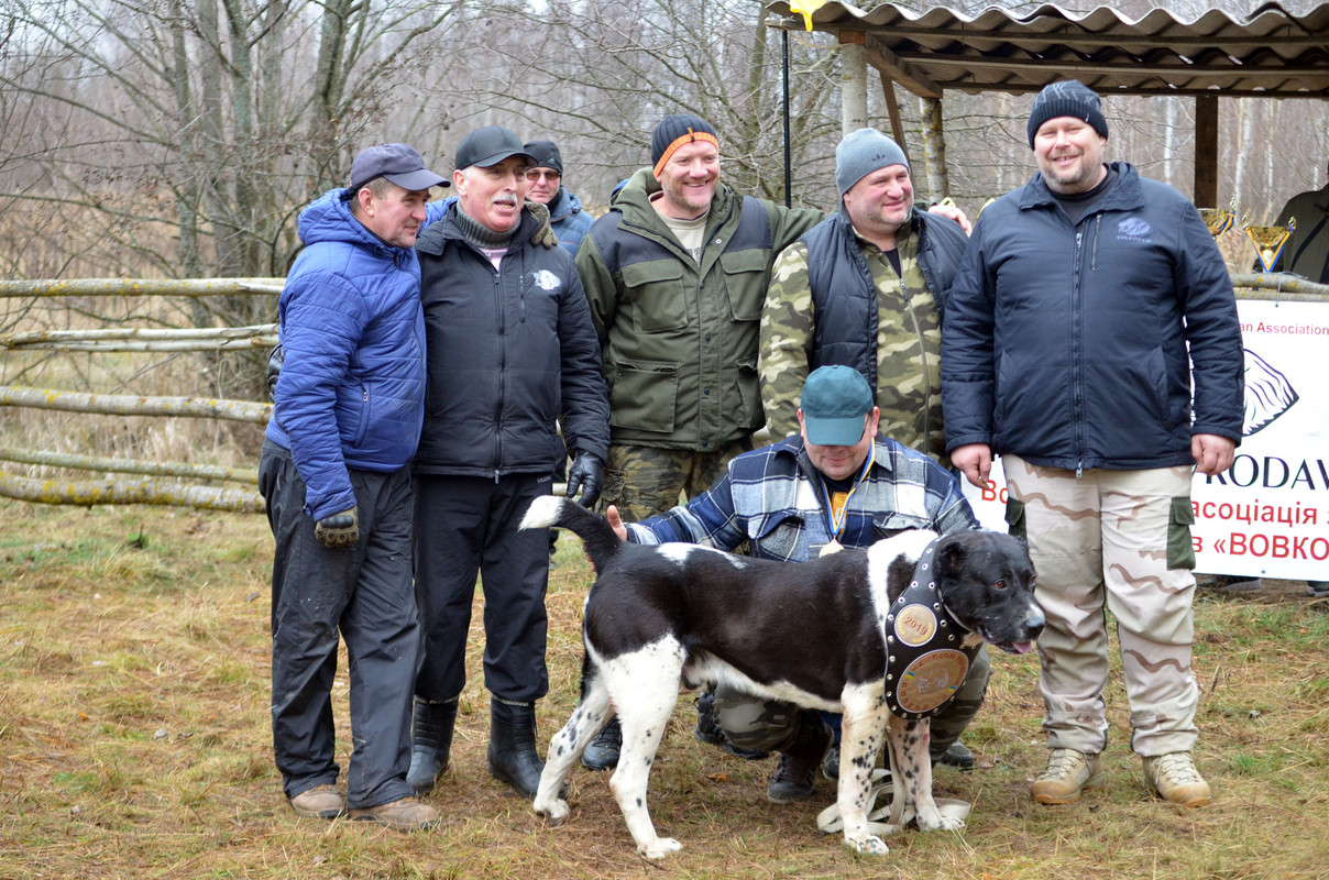 Награждение Сако (2)