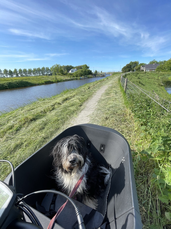 9C1924DF-6353-4118-A9B1-2F15232BEEC5