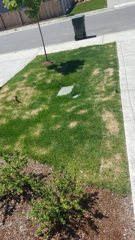 1500412315891221870419