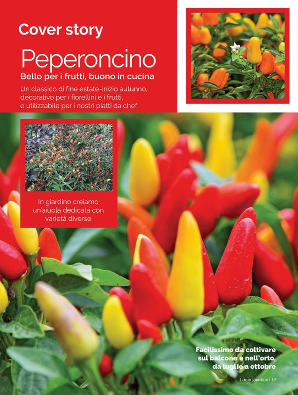 Il Mio Giar Set-Ott 2021 (1)