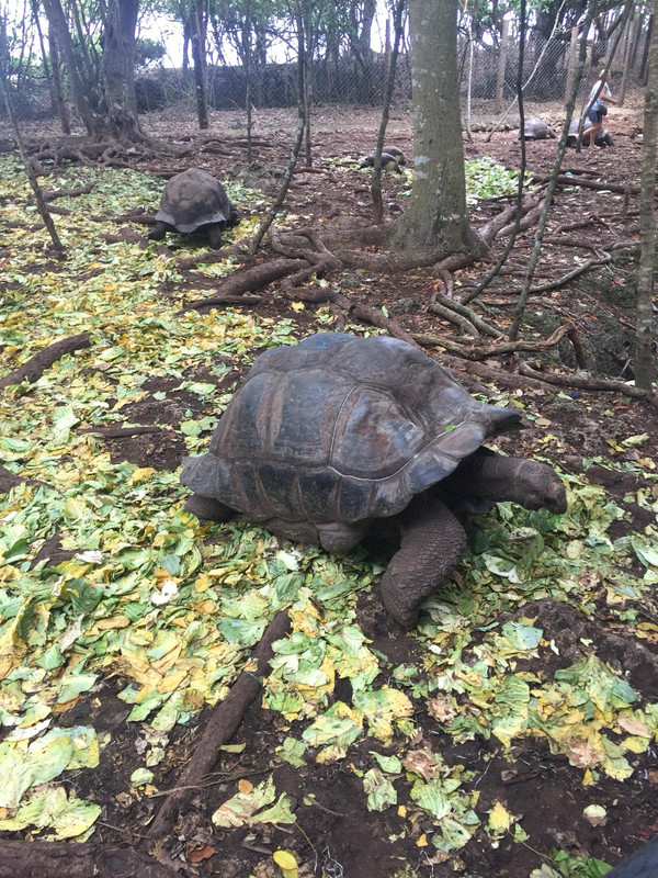 WhatsApp Image 2018-04-03 at 13.32.10(1)