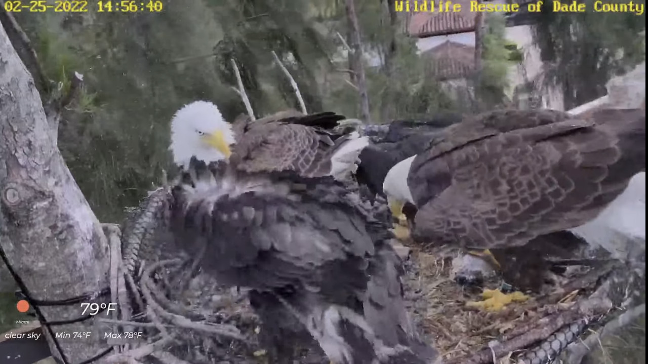 69BA67C5-5B2C-4637-8978-3A103E4BAAE0