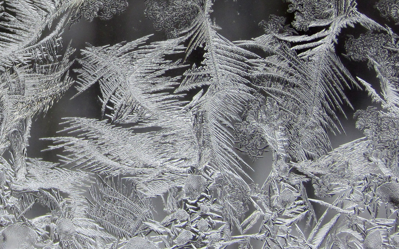 frost 02