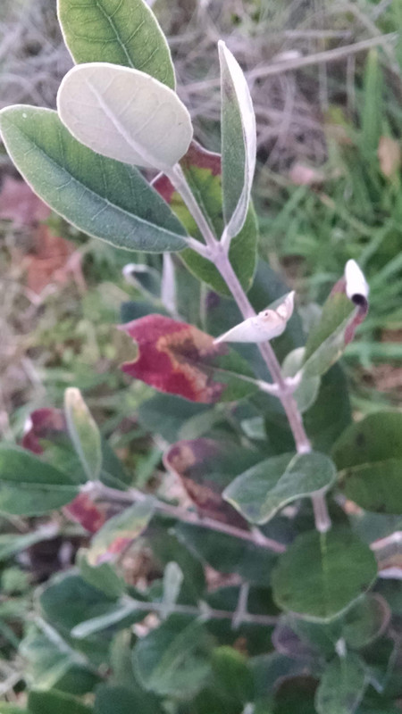 IMG_20141202_172114942