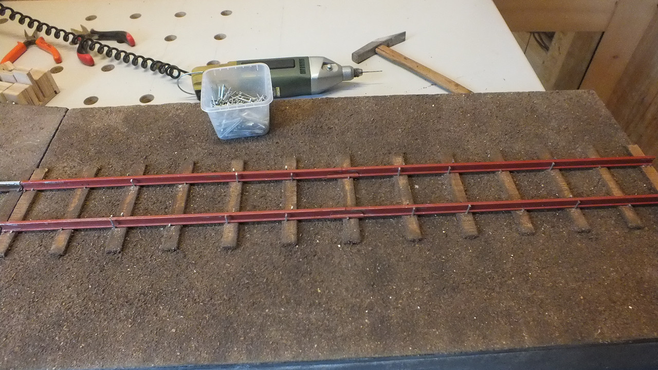Gleise nageln (20)