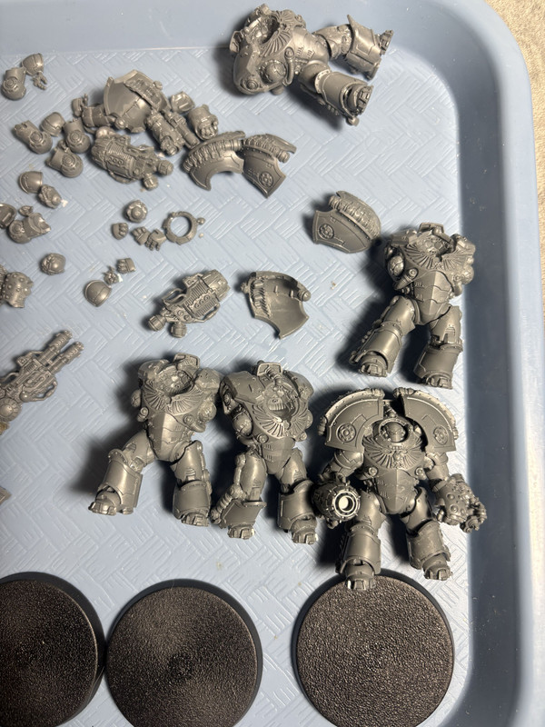 Saturnine Terminators 02