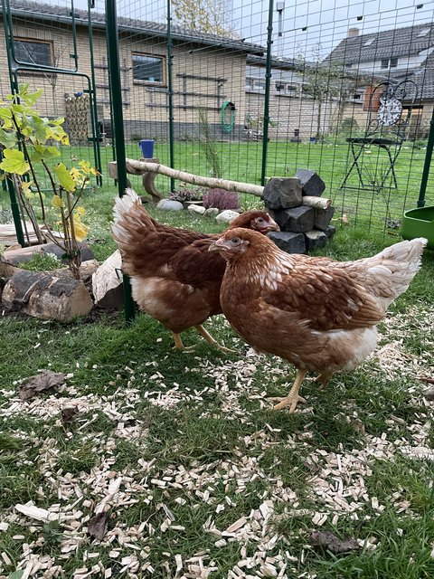 02D1DE07-CBBE-4A1F-B4D8-9B6677C12FC3