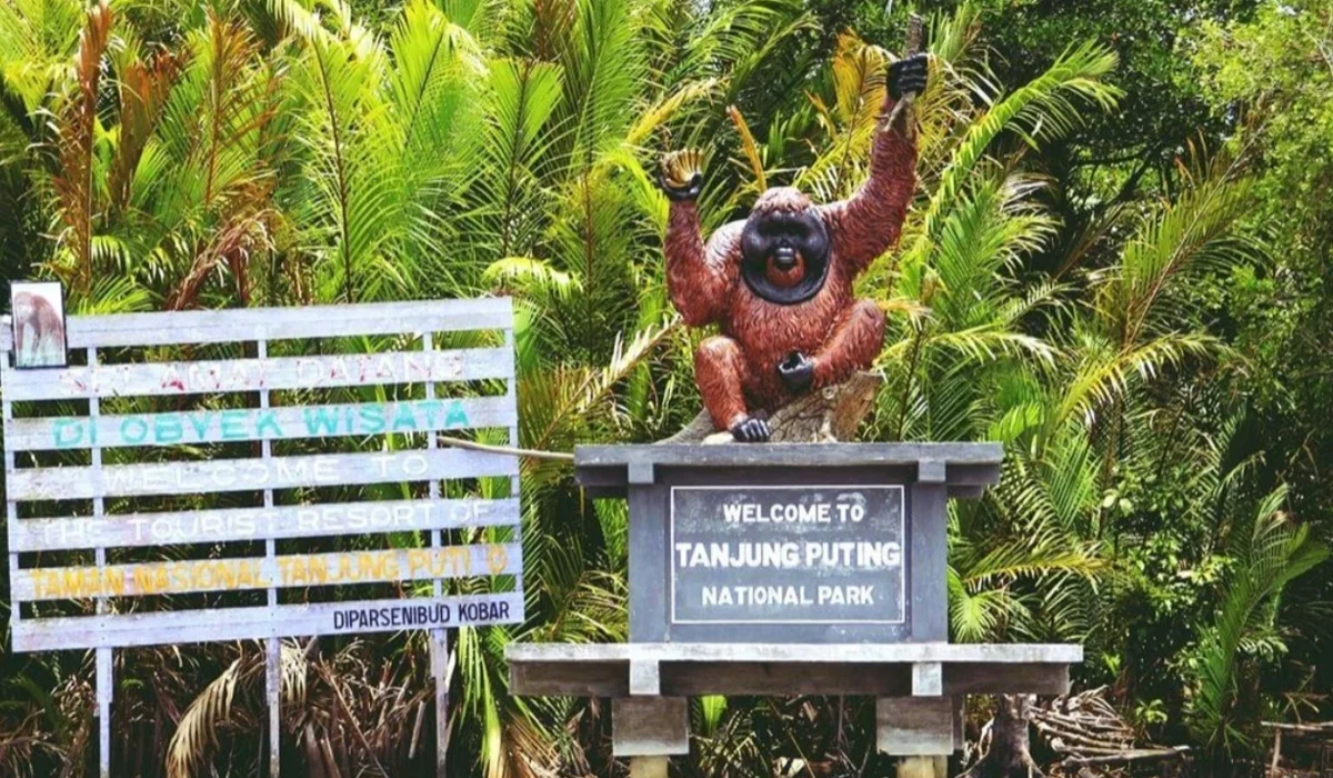 Liburan ke Kalimantan: Rekomendasi Destinasi Anti Mainstream