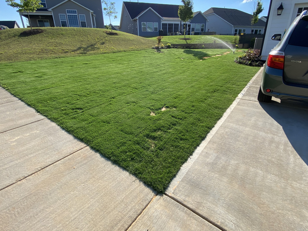 C311D26B-4598-48F0-81C8-2B34047DF299