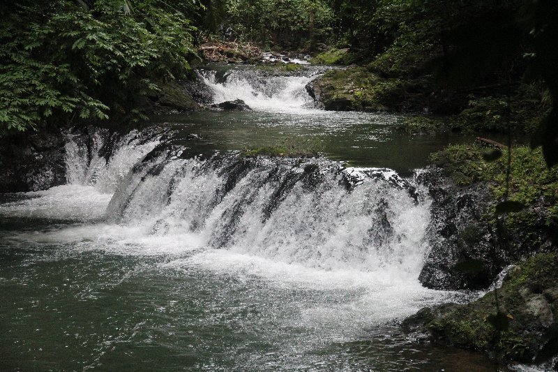 DE TORTUGAS Y PEREZOSOS. COSTA RICA 2019 - Blogs de Costa Rica - DIA 13: EXCURSIÓN DE UN DÍA A CORCOVADO (60)