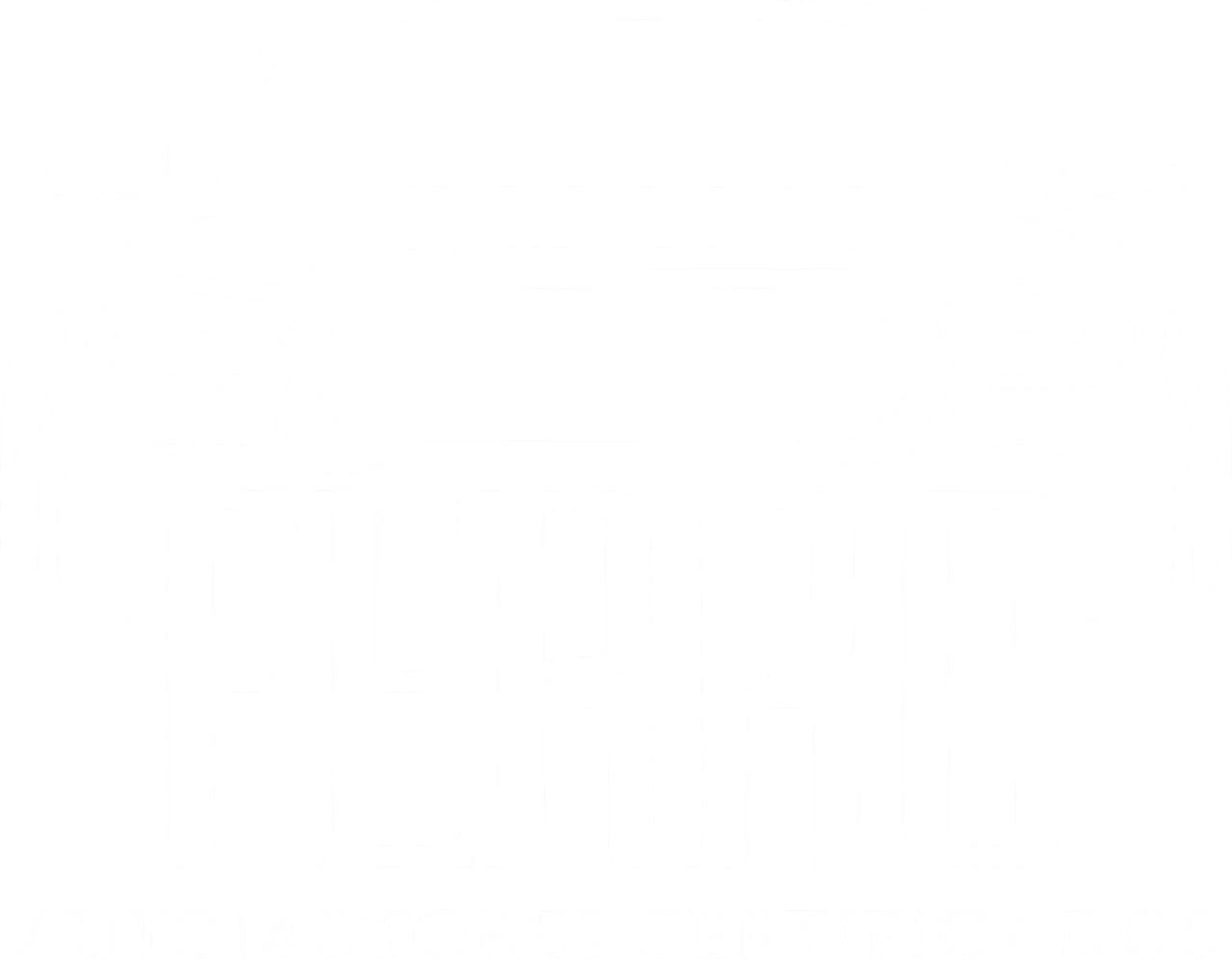 Ferro Automotores