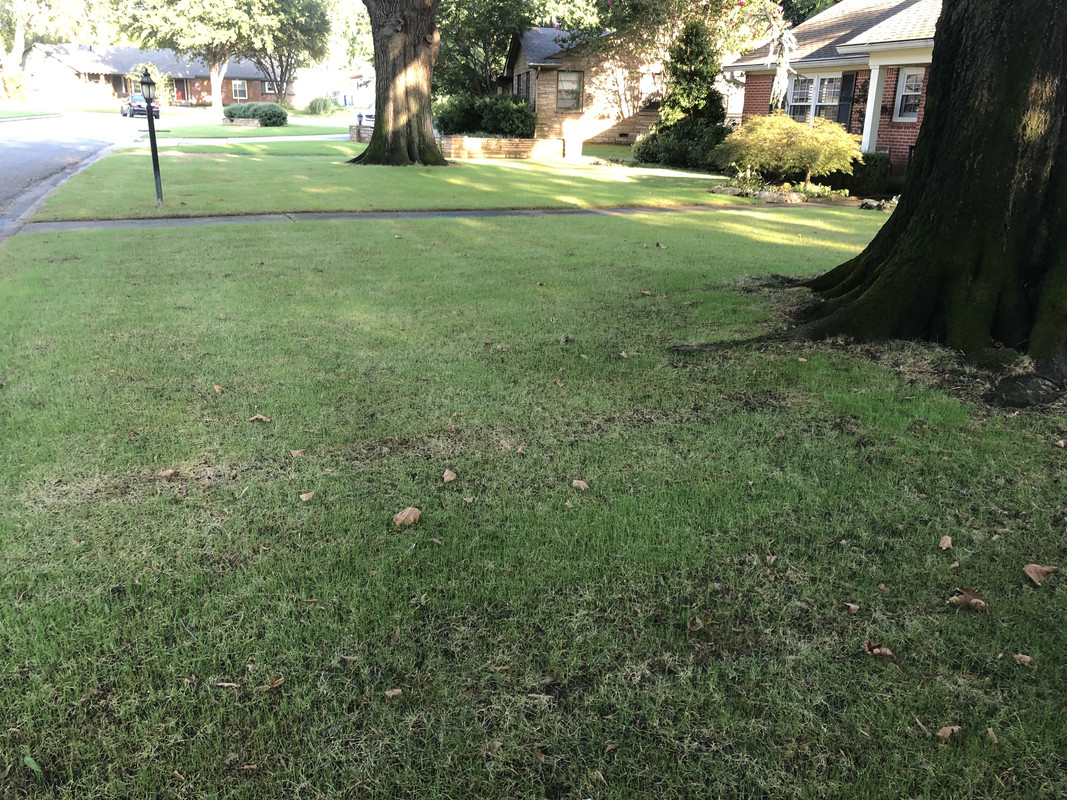 F8C15E8F-9C94-43F1-9807-E70F949FF3DE