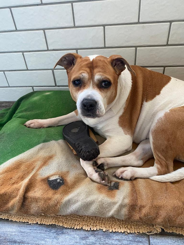 B3199364-708C-4CE8-8455-7085DC9A3E7C