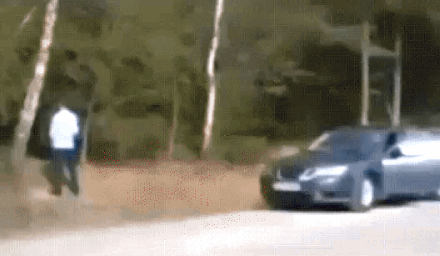 65.gif