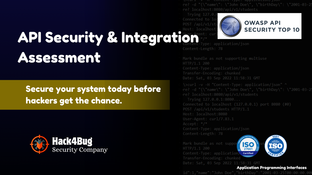 API security assessments