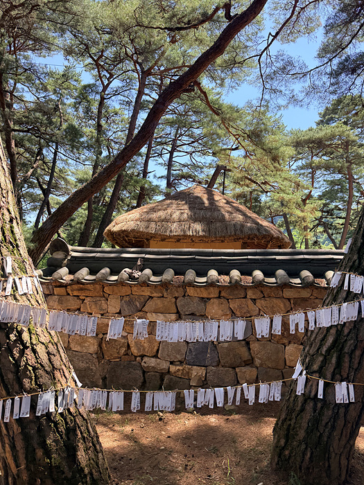 Kakao-Talk-20260601-063246701-24