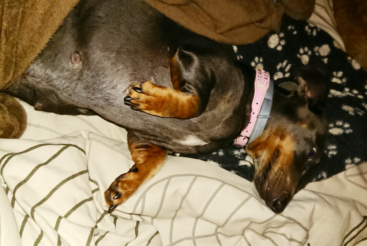 [Image: 20241011-105242.jpg]