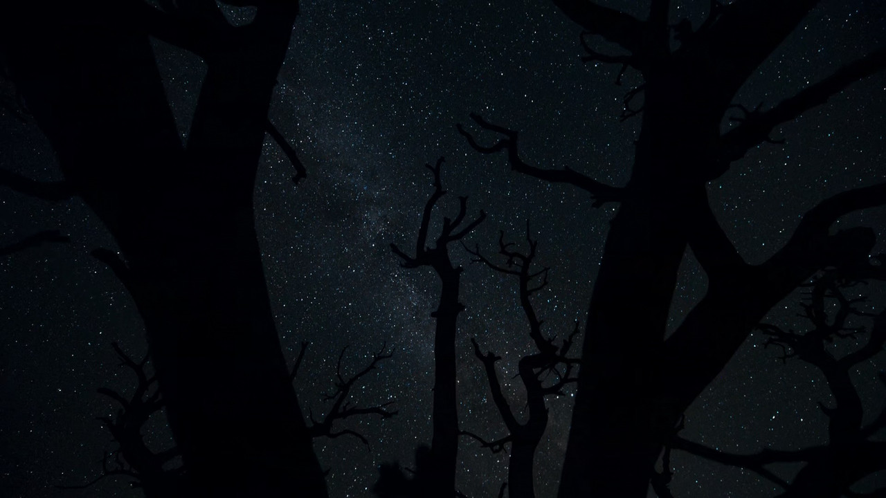 Planet Earth II S01E04 Deserts (1080p x265 10bit Tigole).mkv_sna