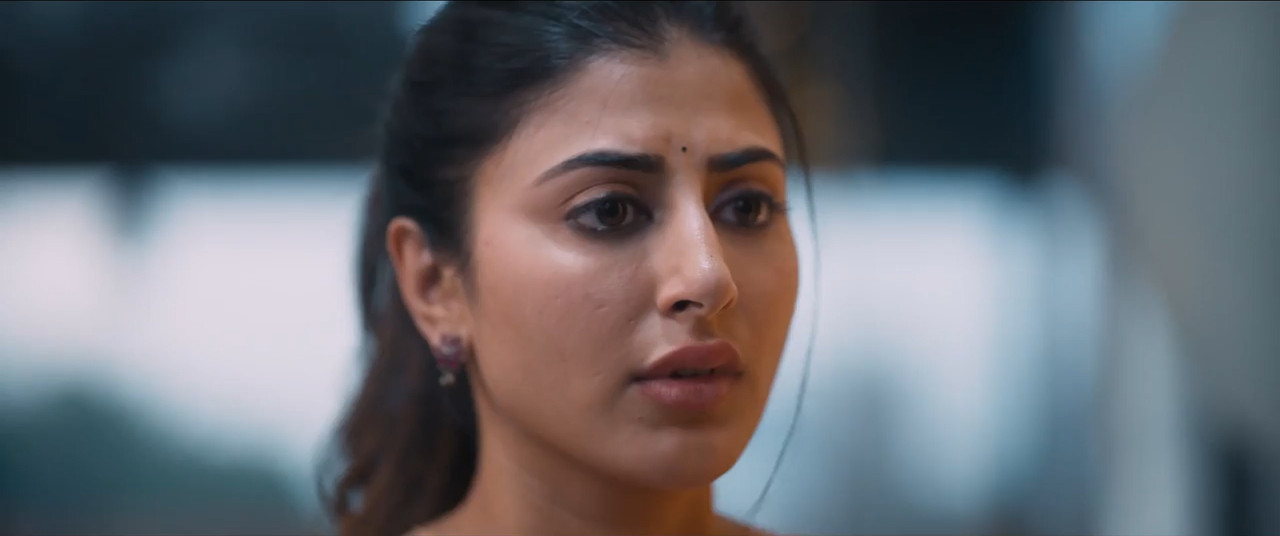 Solo Boy 2025 WebRip [Hindi + Telugu] 480p 720p ESub Screenshot