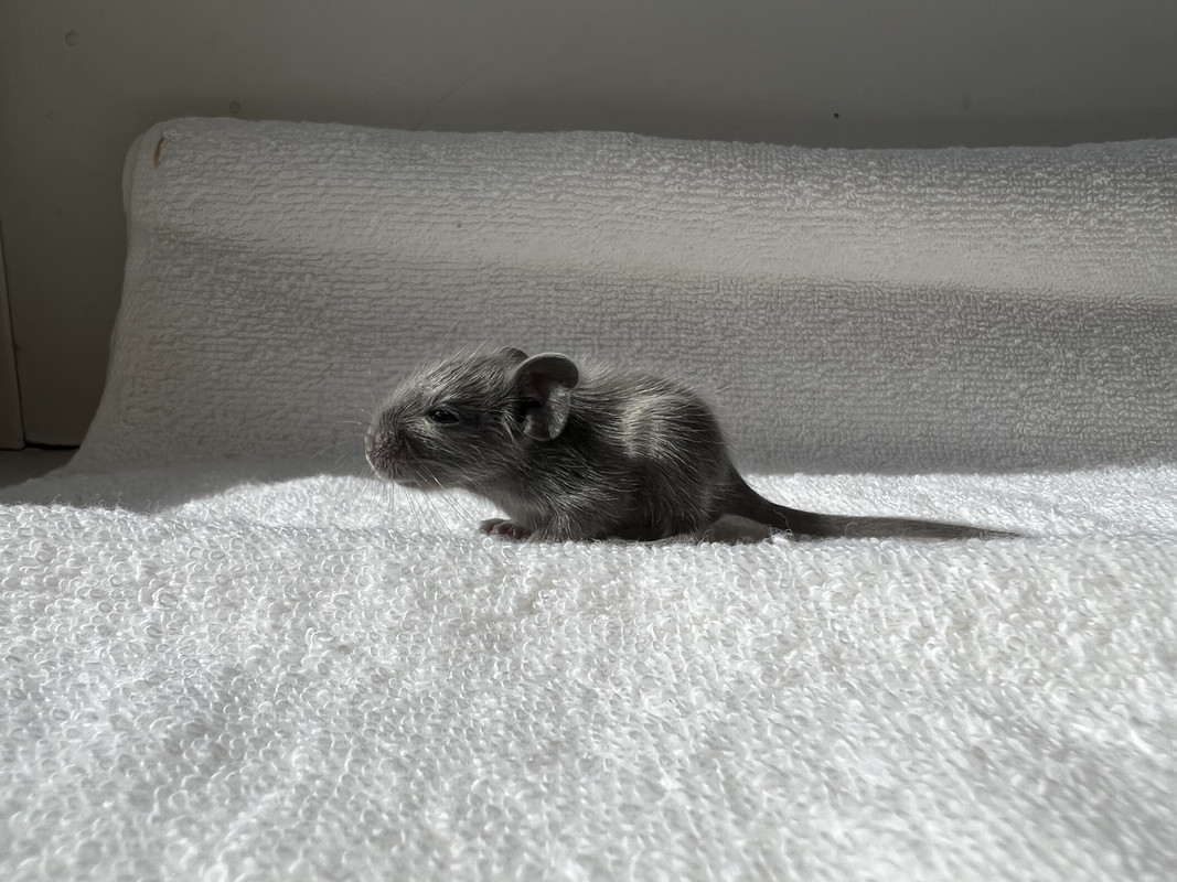 40E7A6A9-DAC0-4DC0-8C4A-DBDA6FB931A8