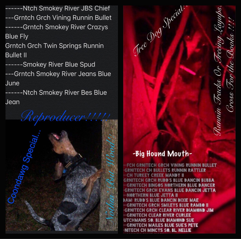 A10699EC-FC1C-4BFA-80D2-4F39E0F1AD49