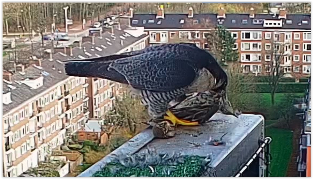 Screen Shot 03-16-23 at 04.38 PM