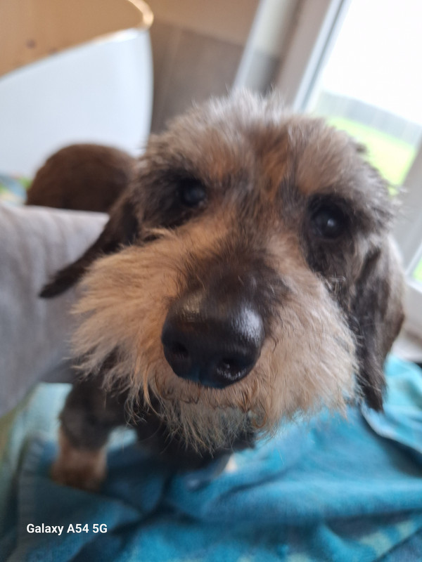 [Image: 20241126-111525.jpg]