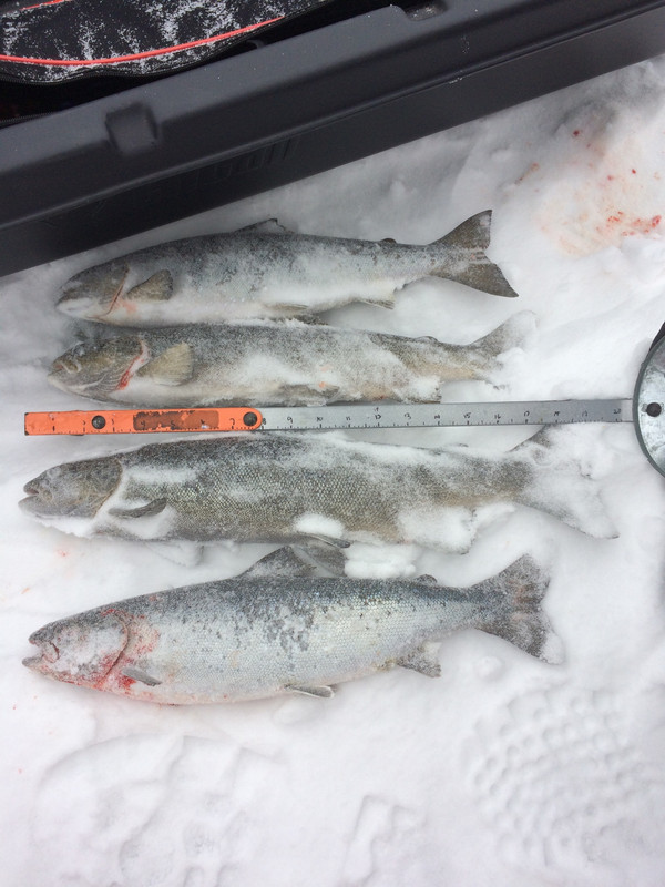 7533617A-8154-43C1-8CB7-C66551423B30