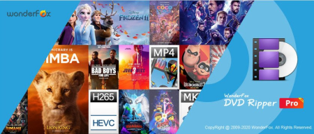 WonderFox DVD Ripper Pro 19.1
