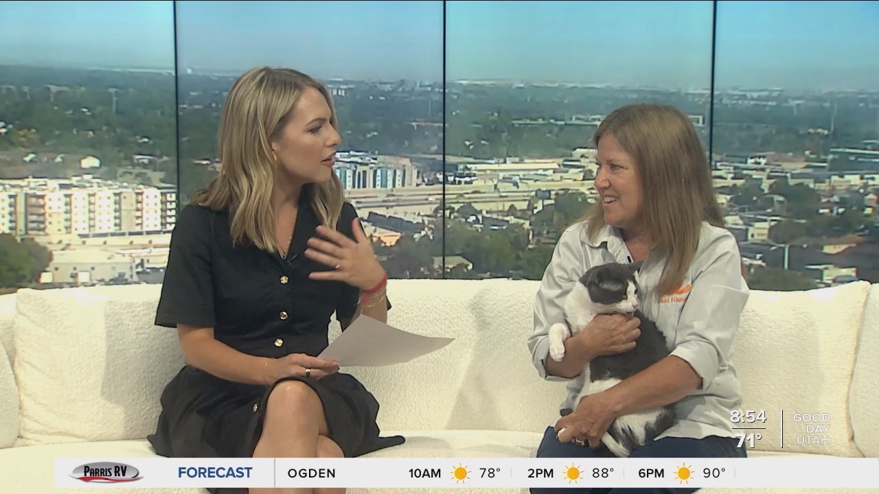 06.09 - 15.00.00 - FOX13 News  Good Day Utah 8AM  ᴺᵉʷ. Utah news, wea....ts_snapshot_55.57.319