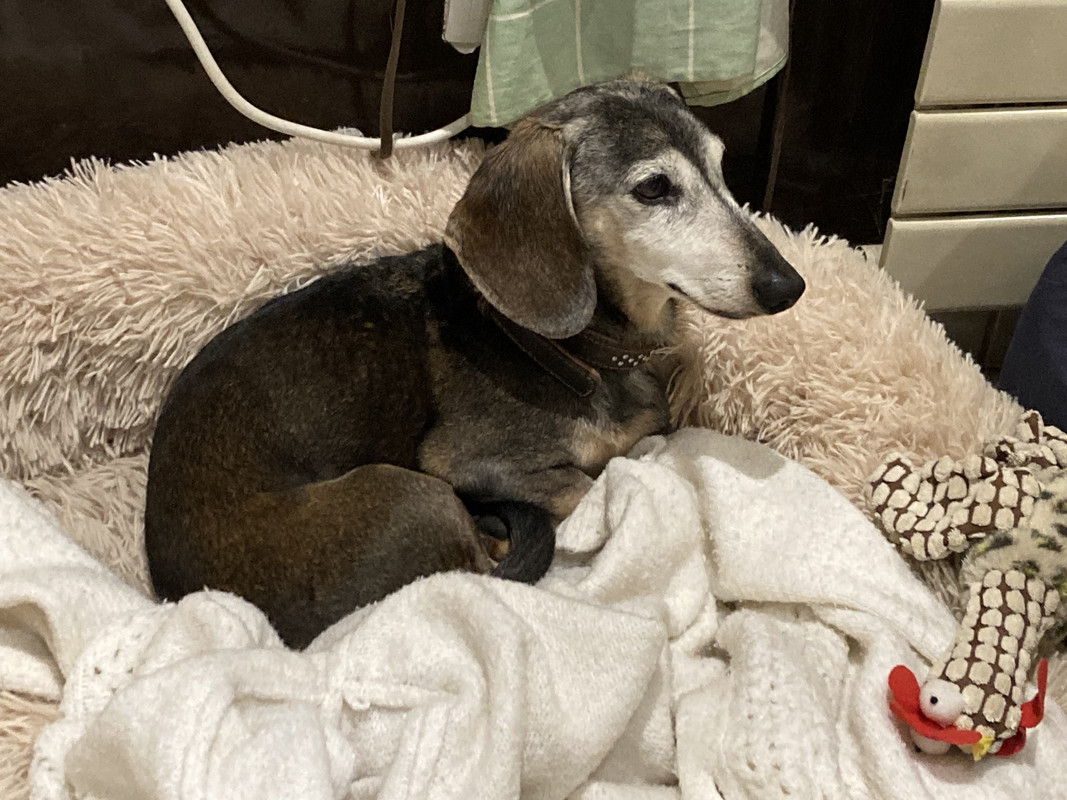 [Image: IMG-3941.jpg]