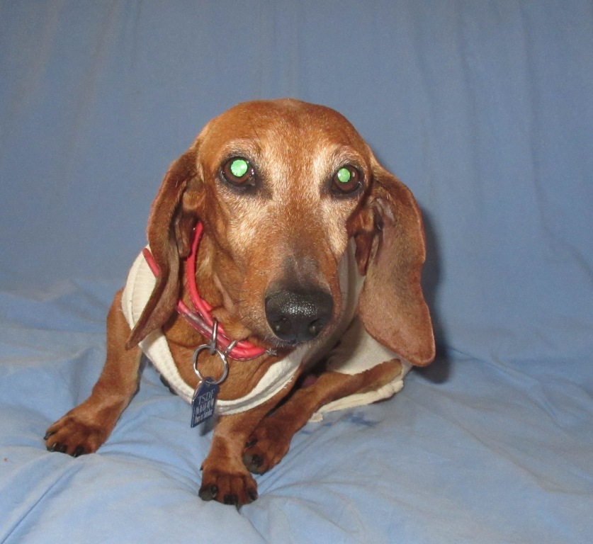 [Image: IMG-2362.jpg]