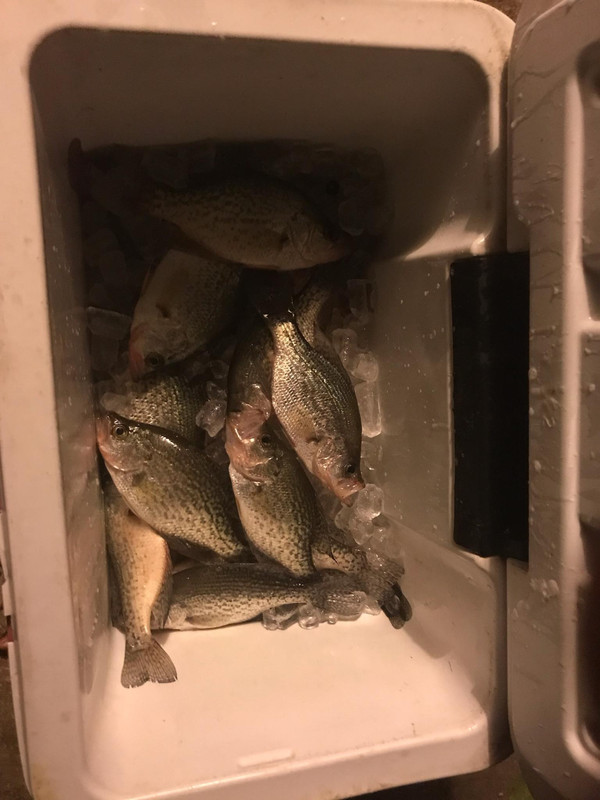 D8917FAE-CEF1-4CA7-88CB-789C54E973C6