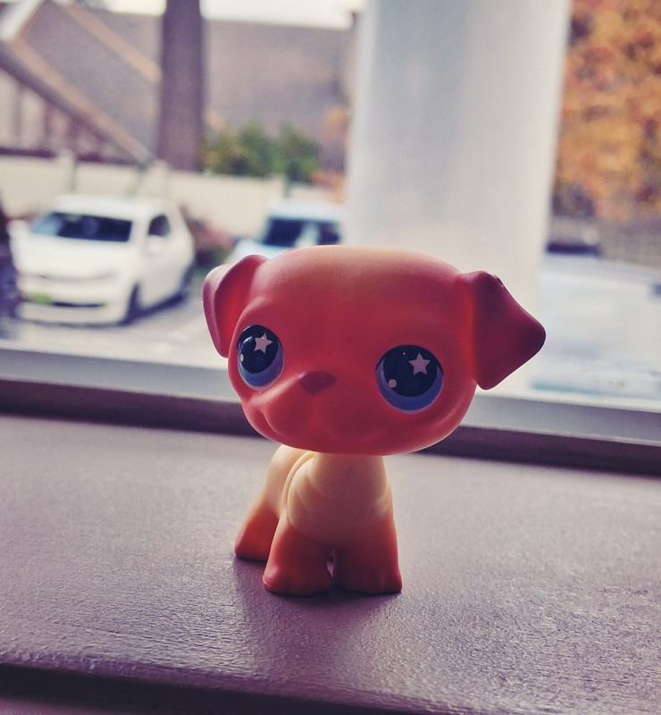 photostudio 1761508193932