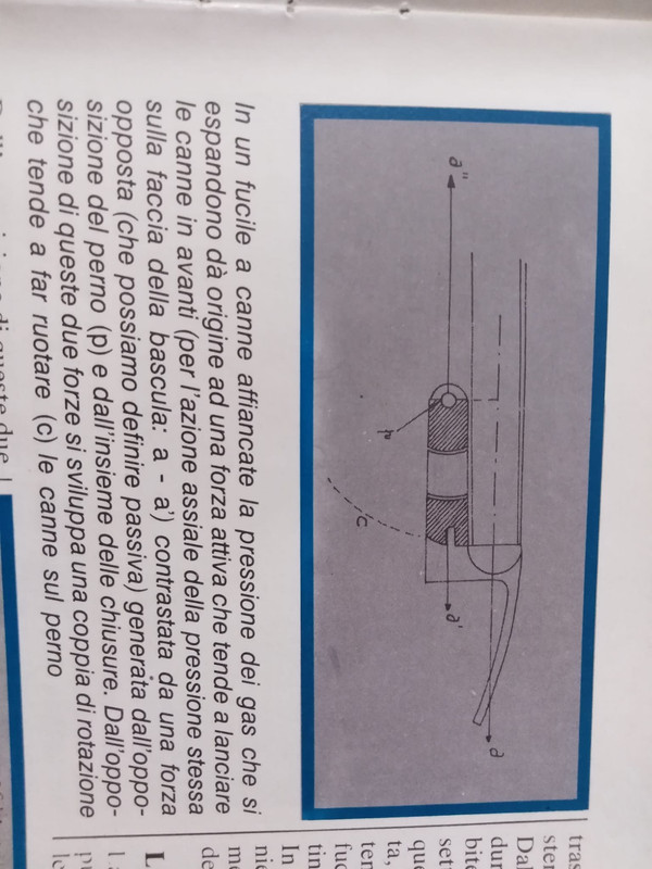 1753B724-2557-402D-B83F-2A6CF500BEA7