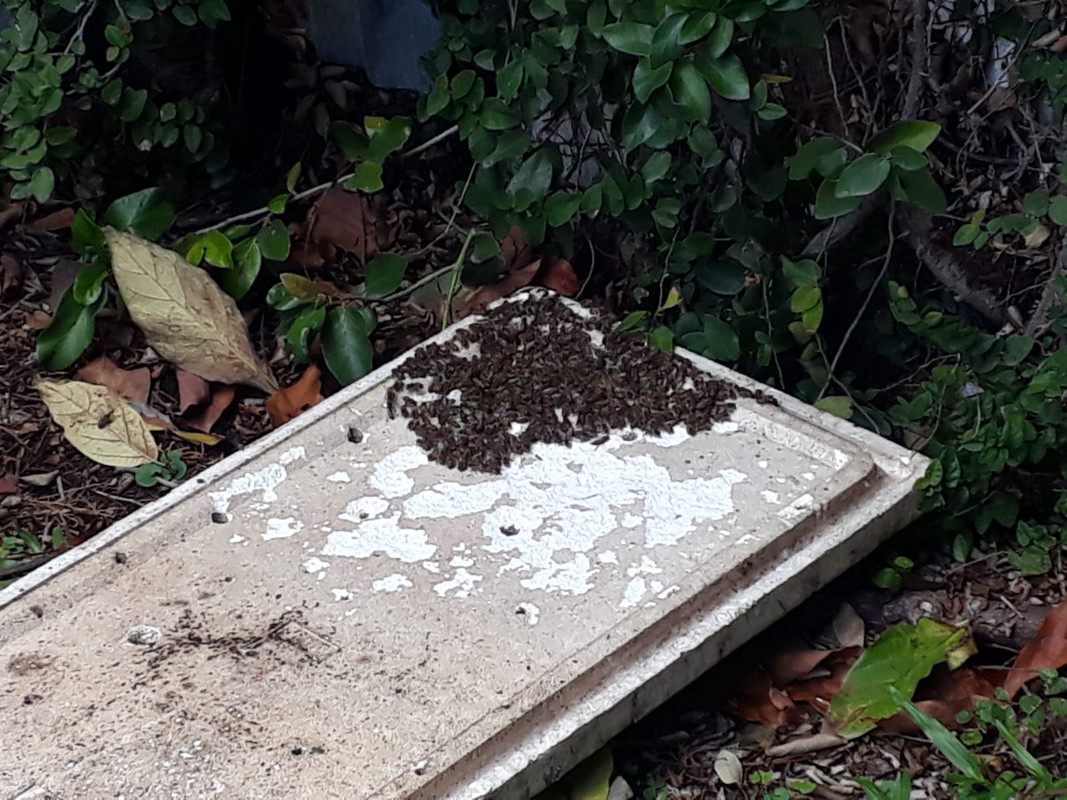 WhatsApp Image 2021-11-29 at 13.30.57 (1)