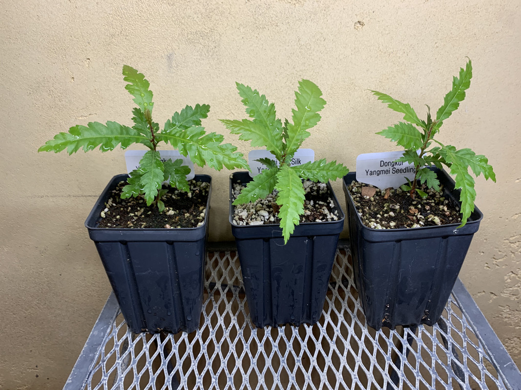 055D4265-C5CD-4BE0-A627-AEB3CC7ACD84