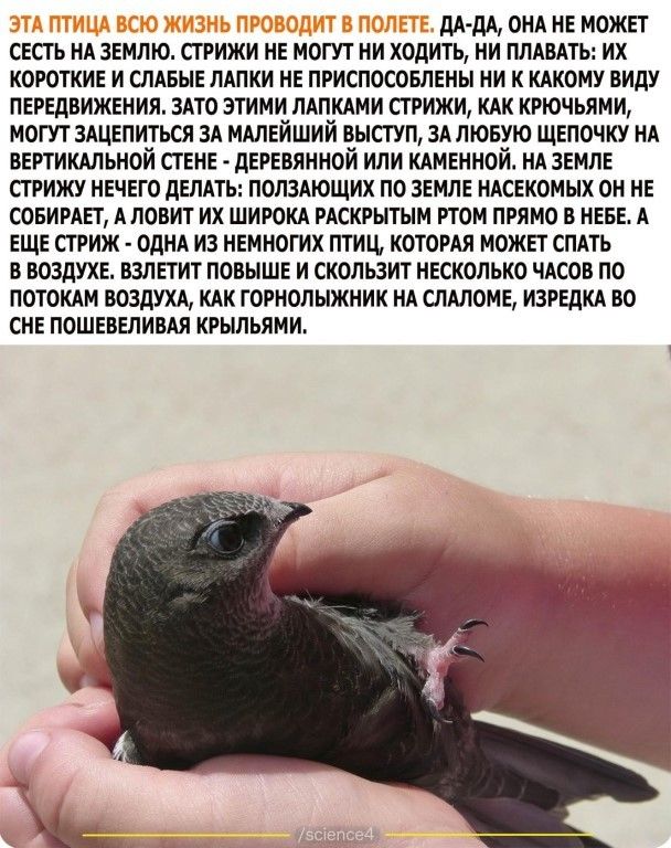 [Изображение: c00c251b7585e4d652b692788370a332.jpg]