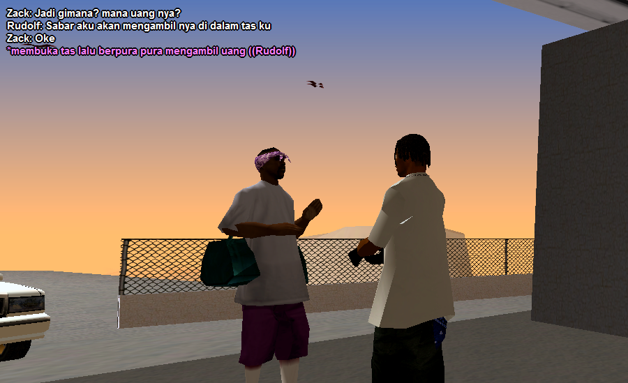 ss13.png