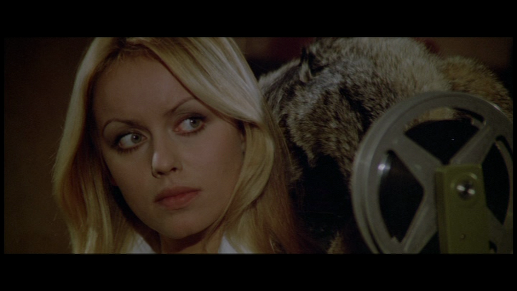 vlcsnap-2018-12-29-17h31m31s977