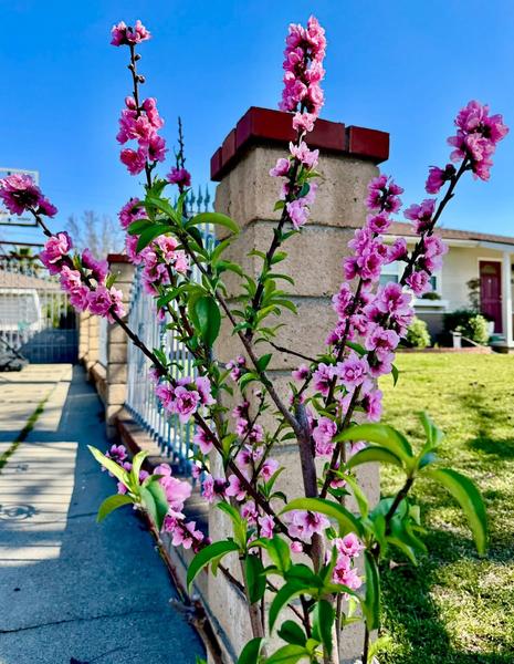 [Image: IMG_3111.jpg]