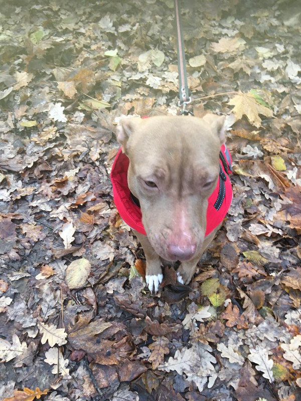 09864403-371A-42D8-BD4E-110E498F46D5