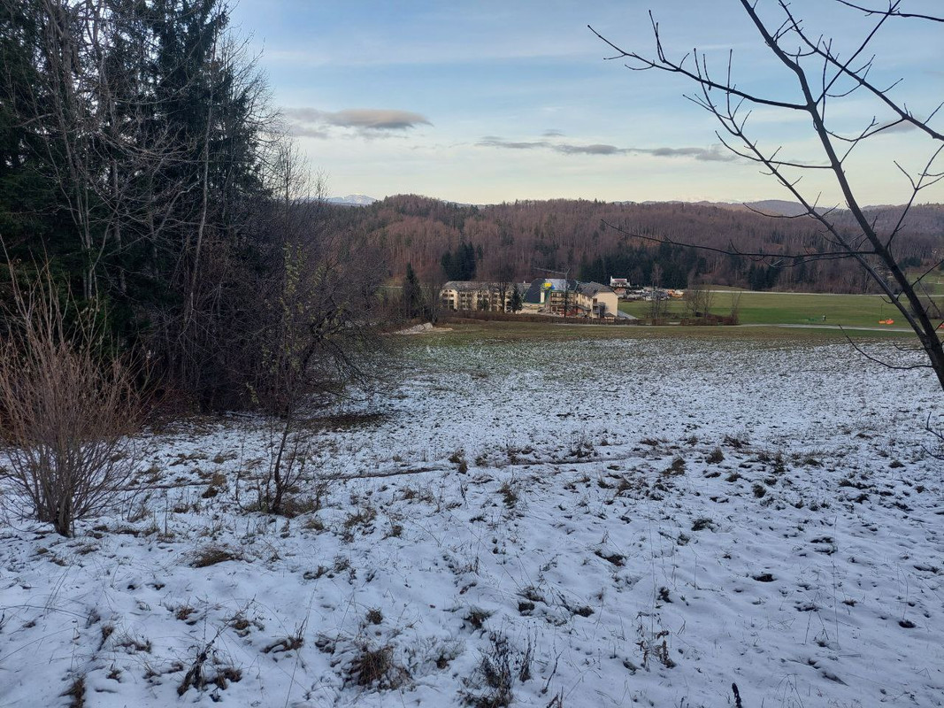 photo_2024-11-24_16-14-58 (2)