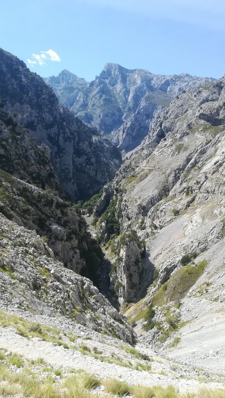 ESCAPADA POR ASTURIAS ORIENTAL - Blogs de España - RUTA DEL CARES-ARENAS DE CABRALES Viernes 11 de Septiembre (12)