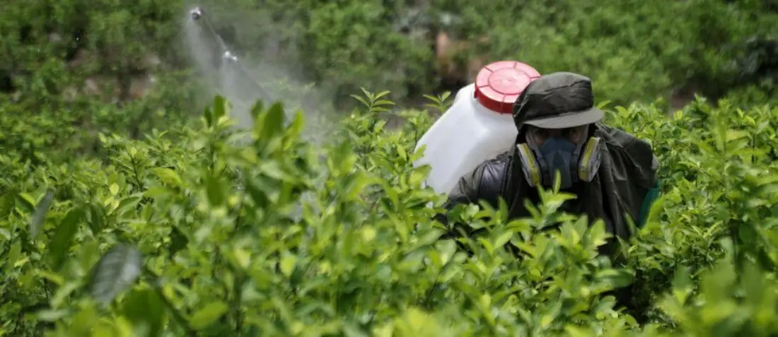 Se presentará al país Política Nacional Antidrogas